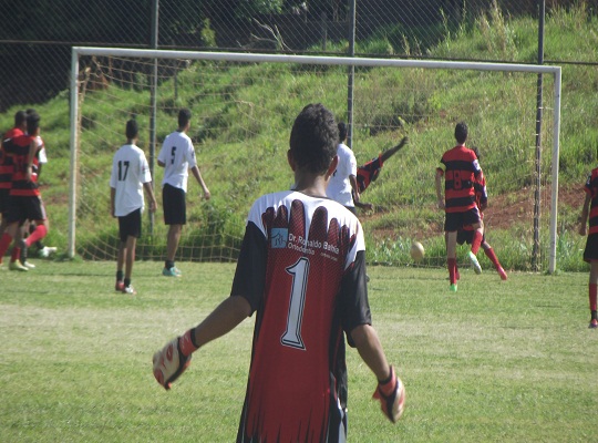 Gol Vila